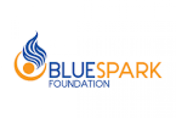 Blue Spark Foundation logo