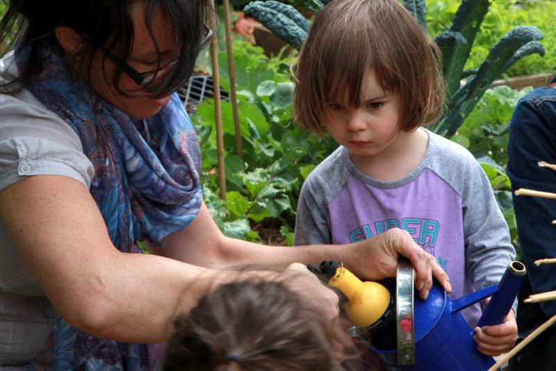 Child planting vegetables